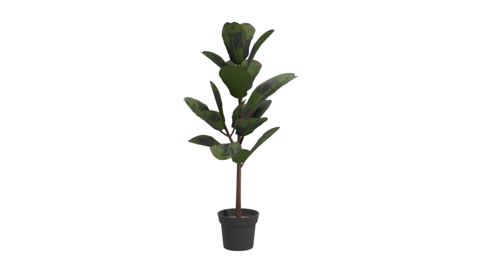 Realistic Indoor Plant Model - Professional 3D Model Render 11