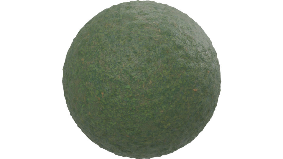 Realistic Green Grass Terrain 3D Model - Professional 3D Model Render 13