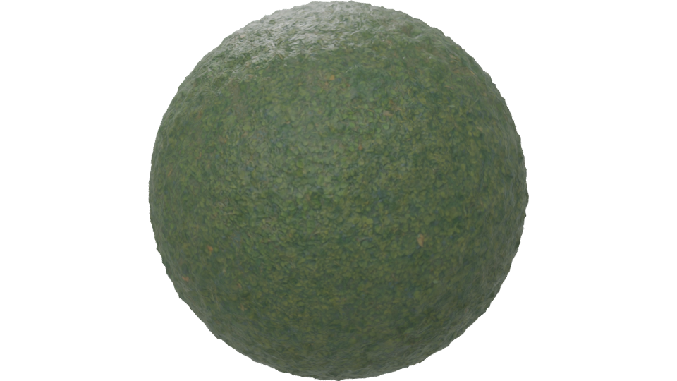 Realistic Green Grass Terrain 3D Model - Professional 3D Model Render 6