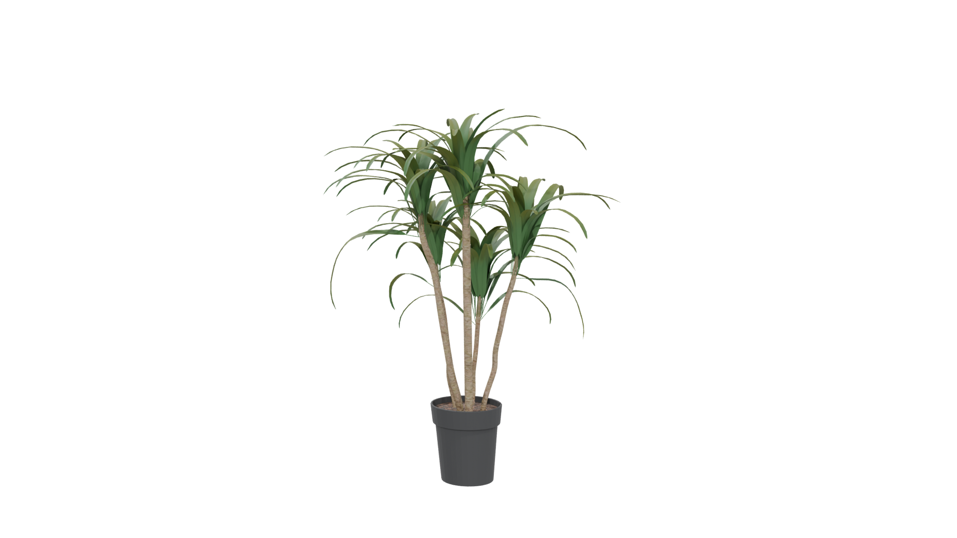 Stylized Potted Plant Model - Professional 3D Model Render 5