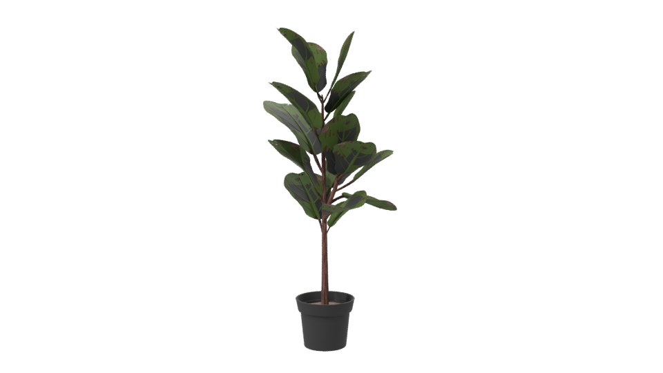 Realistic Indoor Plant Model - Professional 3D Model Render 7