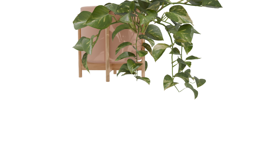 Pothos Plant in Pot 3D Model - Professional 3D Model Render 4