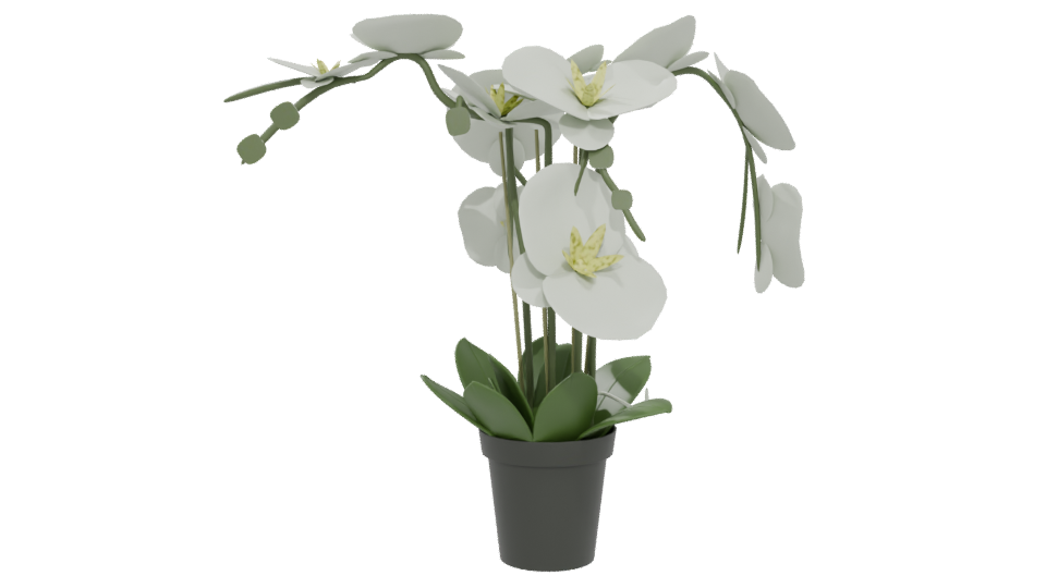 Elegant Orchid Plant 3D Model - Professional 3D Model Render 5