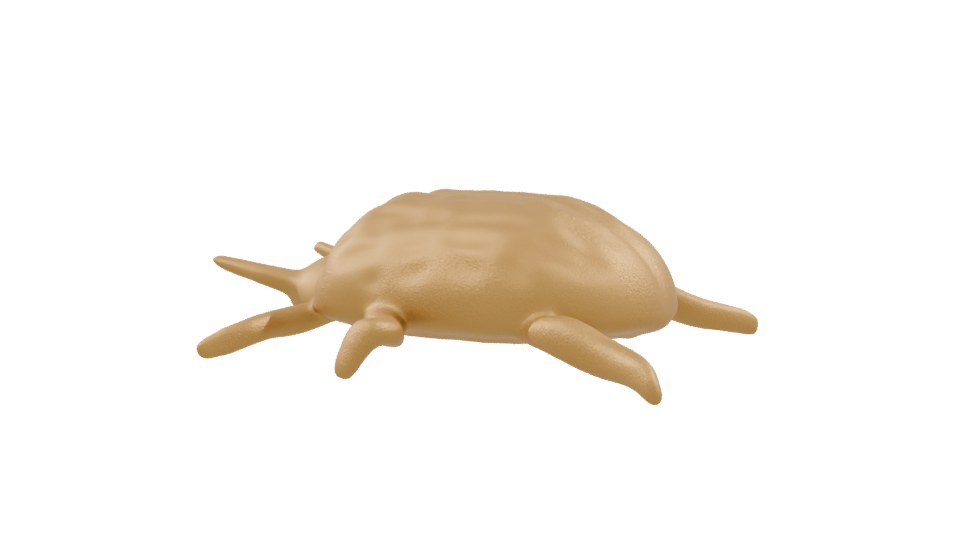 Stylized Golden Turtle 3D Model - Professional 3D Model Render 9