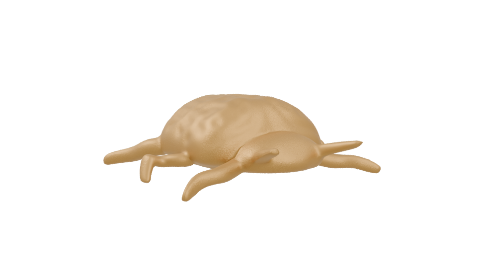 Stylized Golden Turtle 3D Model - Professional 3D Model Render 4