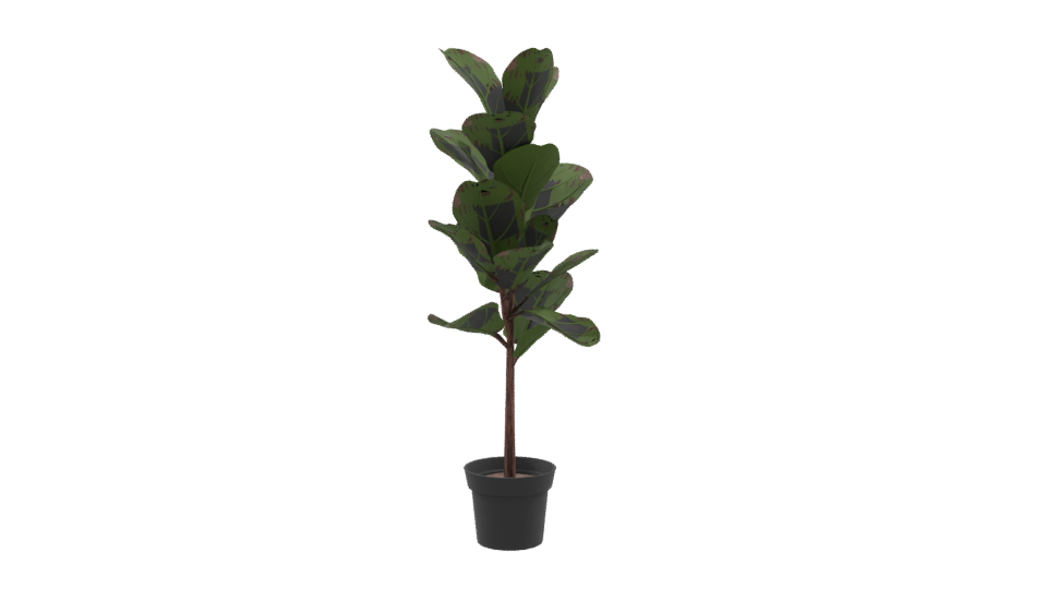 Realistic Indoor Plant Model - Professional 3D Model Render 9