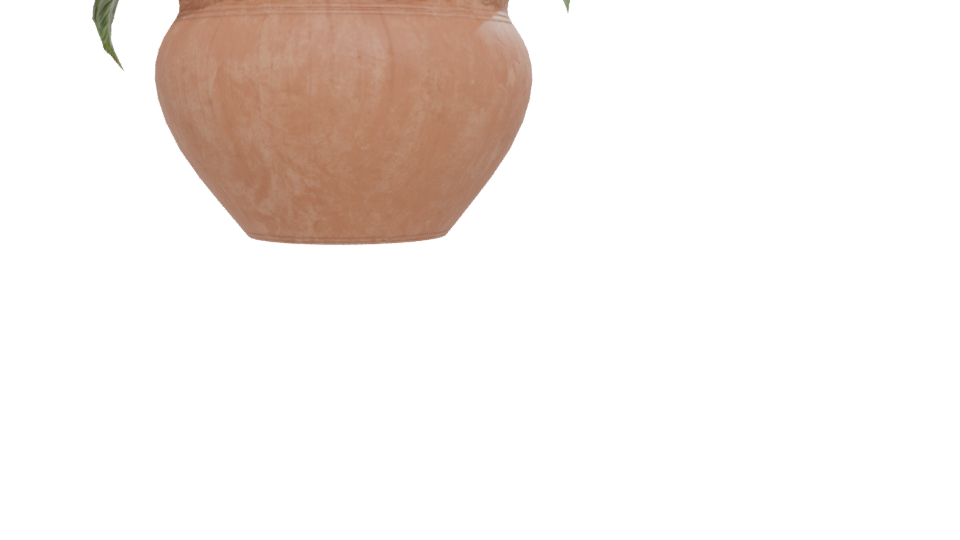 Decorative Potted Plant 3D Model - Professional 3D Model Render 12