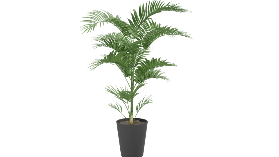 Lifelike Indoor Plant Model - Professional 3D Model Render 2