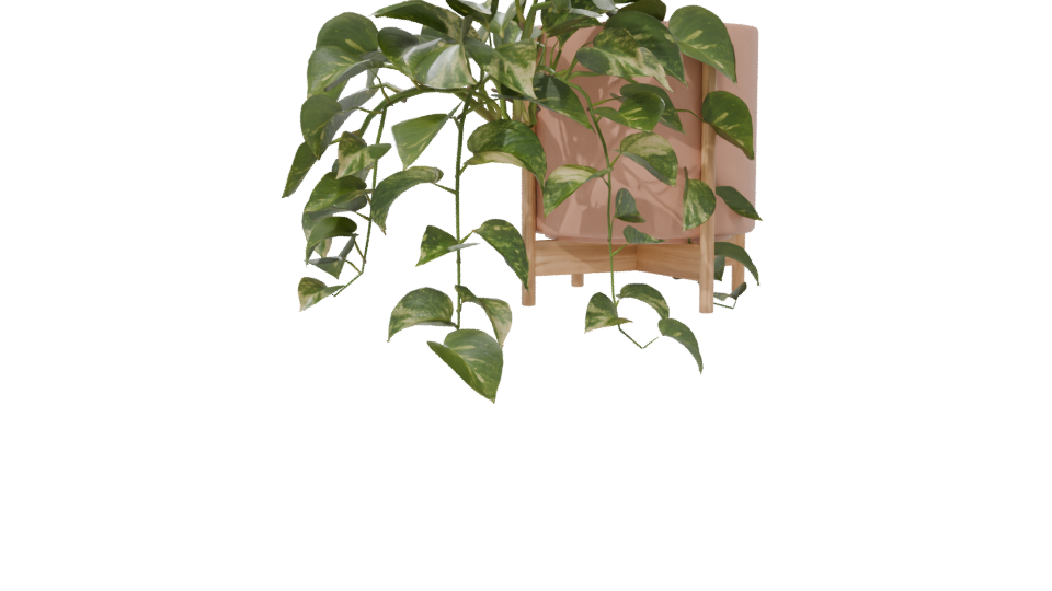 Pothos Plant in Pot 3D Model - Professional 3D Model Render 6