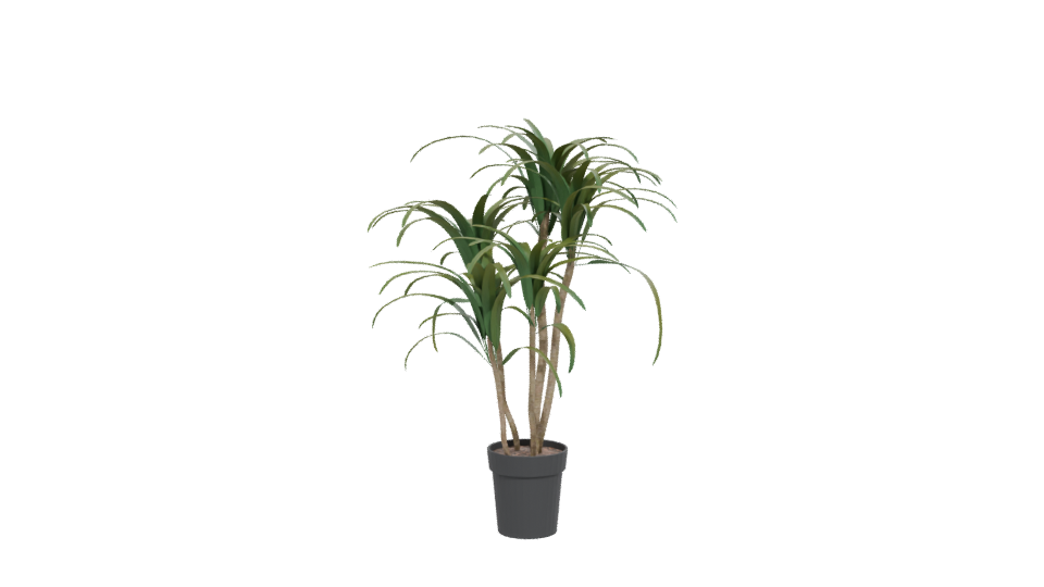 Stylized Pot Plant 3D Model - Professional 3D Model Render 12