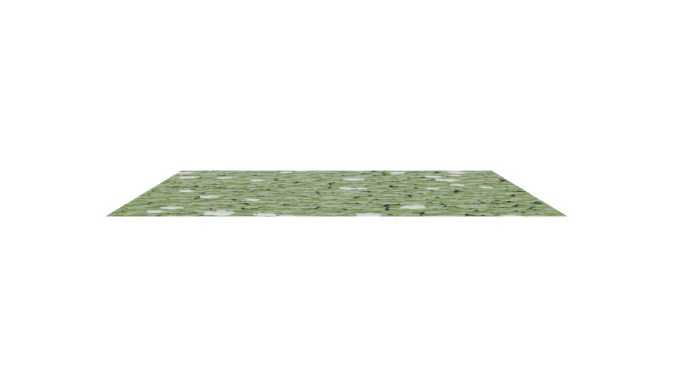 Realistic Grass Texture 3D - Professional 3D Model Render 11