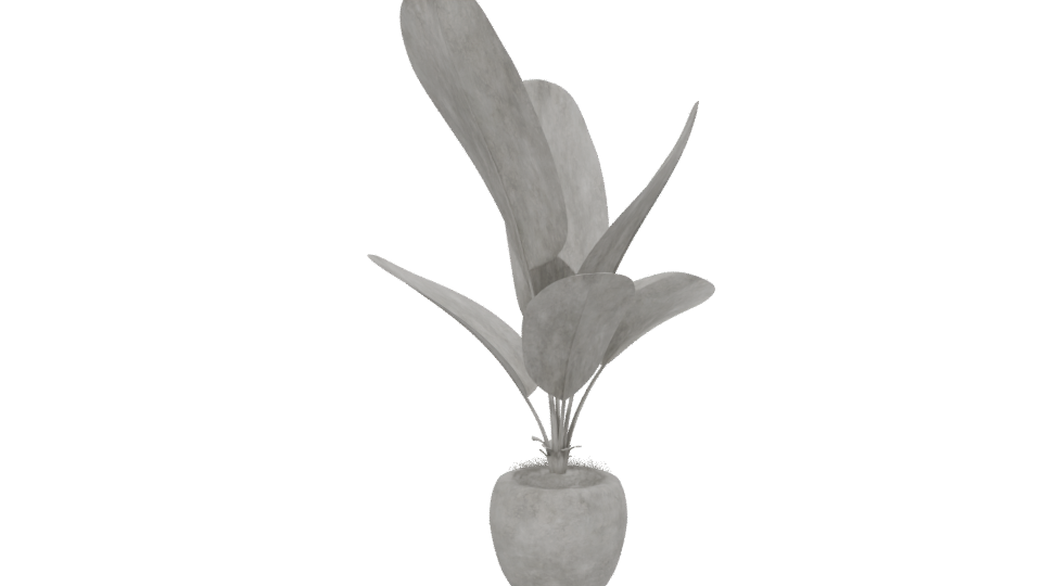 Stylish Potted Plant 3D Model - Professional 3D Model Render 13