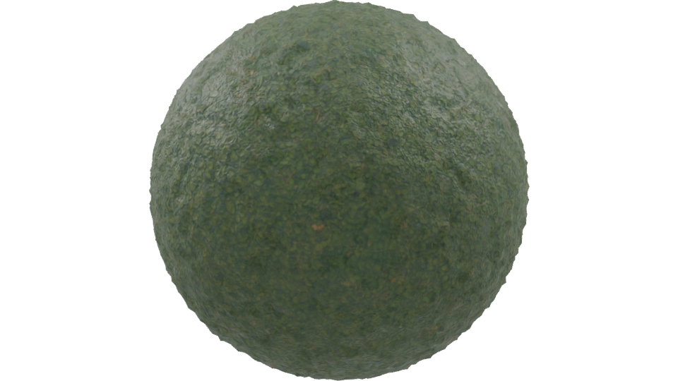 Realistic Green Grass Terrain 3D Model - Professional 3D Model Render 9