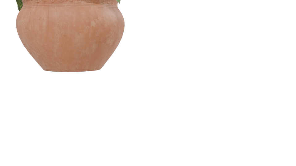 Decorative Potted Plant 3D Model - Professional 3D Model Render 13