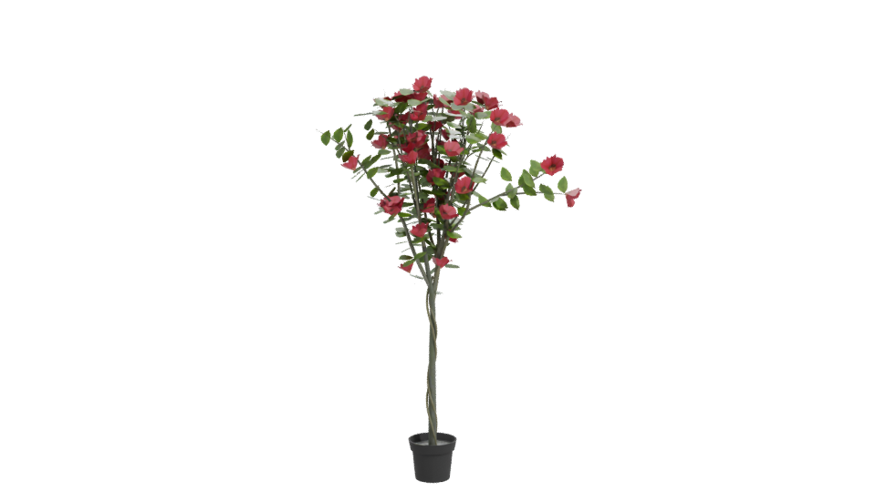 Lifelike Floral Decoration Model - Professional 3D Model Render 11