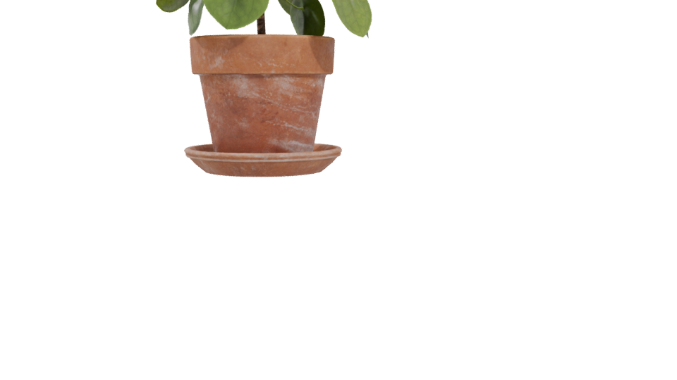 Realistic Potted Plant 3D Model - Professional 3D Model Render 4
