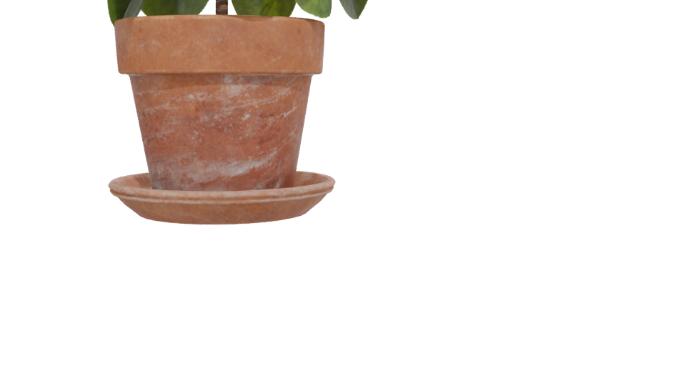 Realistic Potted Plant 3D Model - Professional 3D Model Render 12