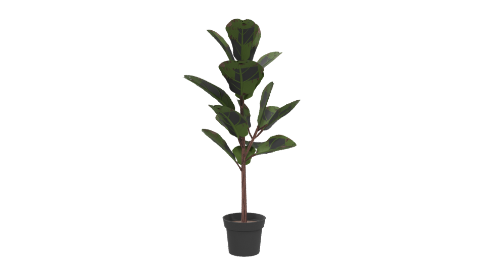 Realistic Indoor Plant Model - Professional 3D Model Render 5