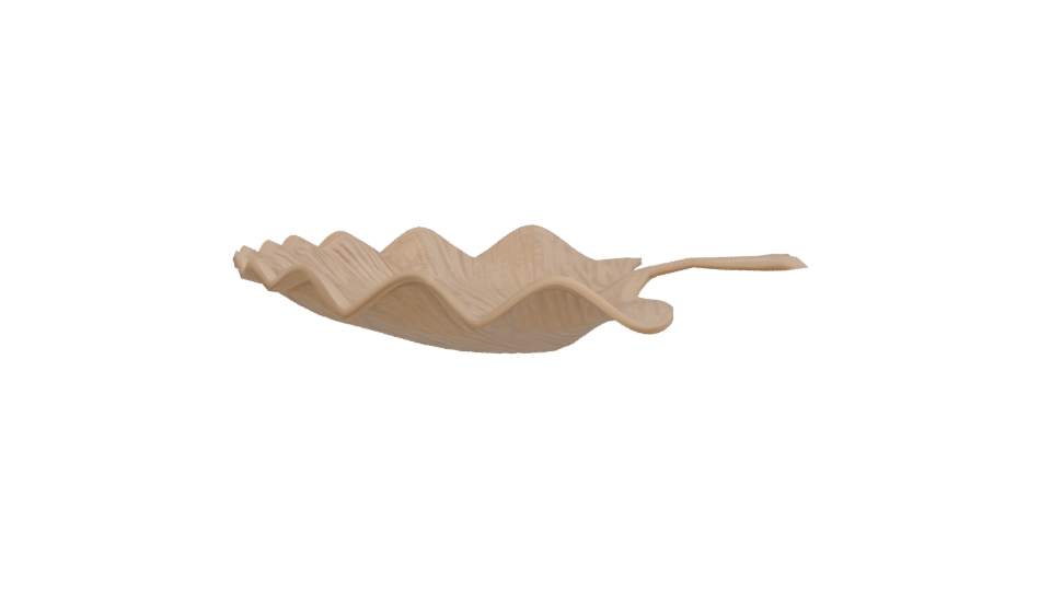 Elegant Decorative Shell Model - Professional 3D Model Render 2