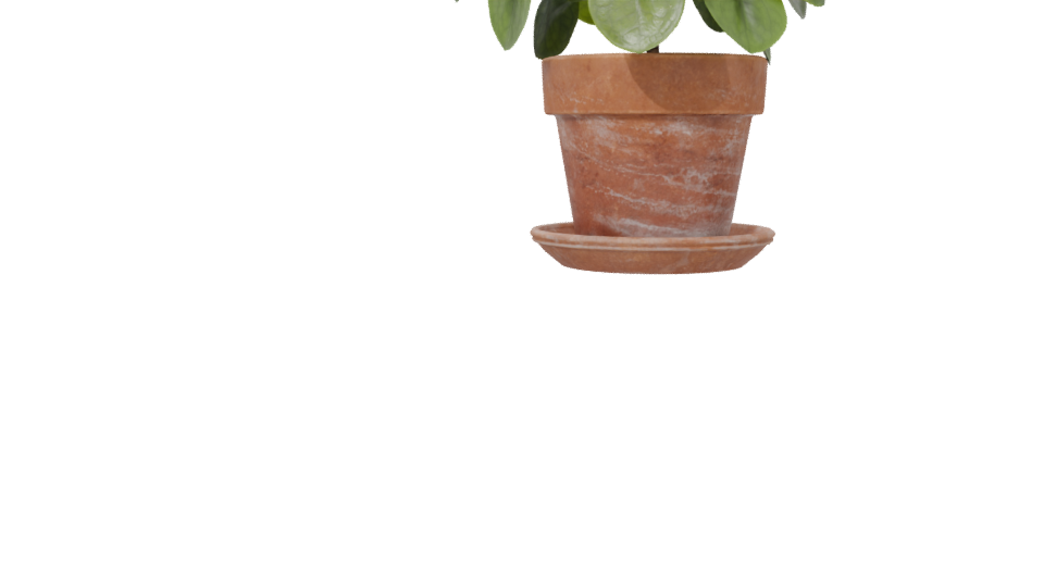 Realistic Potted Plant 3D Model - Professional 3D Model Render 6