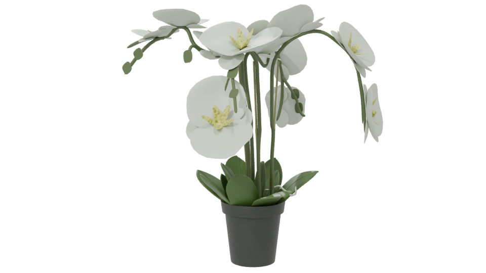 Elegant Orchid Plant 3D Model - Professional 3D Model Render 6