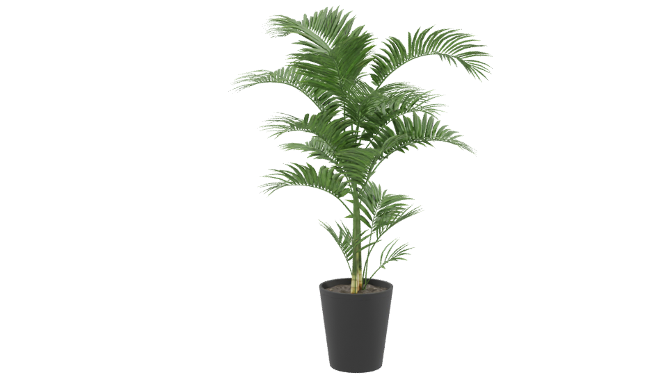 Lifelike Indoor Plant Model - Professional 3D Model Render 9