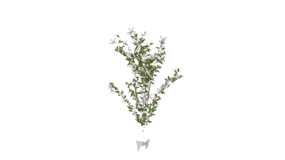 Realistic Flowering Plant 3D Model - Professional 3D Model Render 6