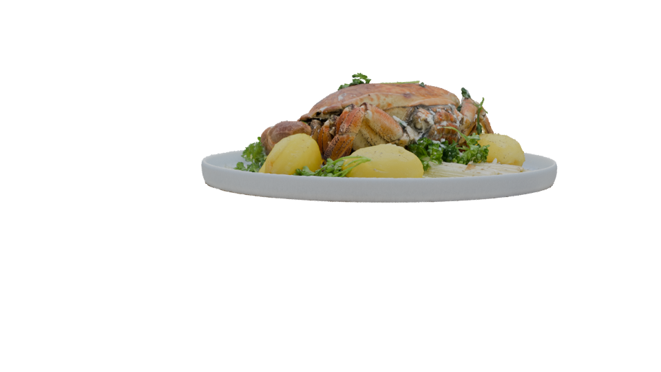 Realistic Crab Dish 3D Model - Professional 3D Model Render 7