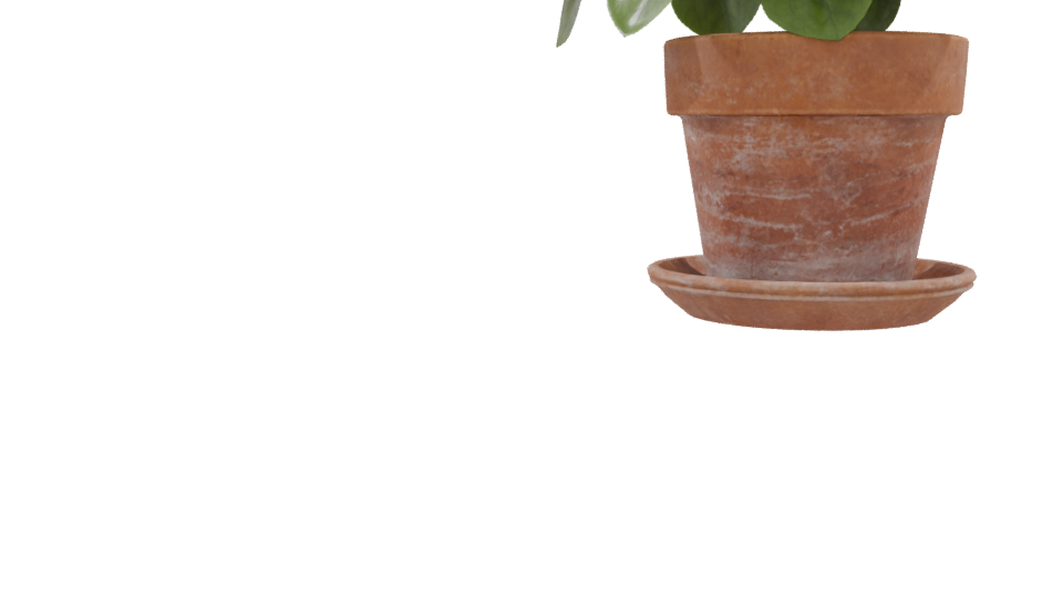 Realistic Potted Plant 3D Model - Professional 3D Model Render 9