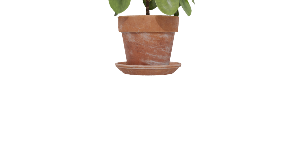 Realistic Potted Plant 3D Model - Professional 3D Model Render 5