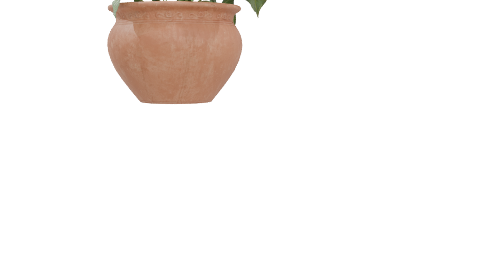 Decorative Potted Plant 3D Model - Professional 3D Model Render 4