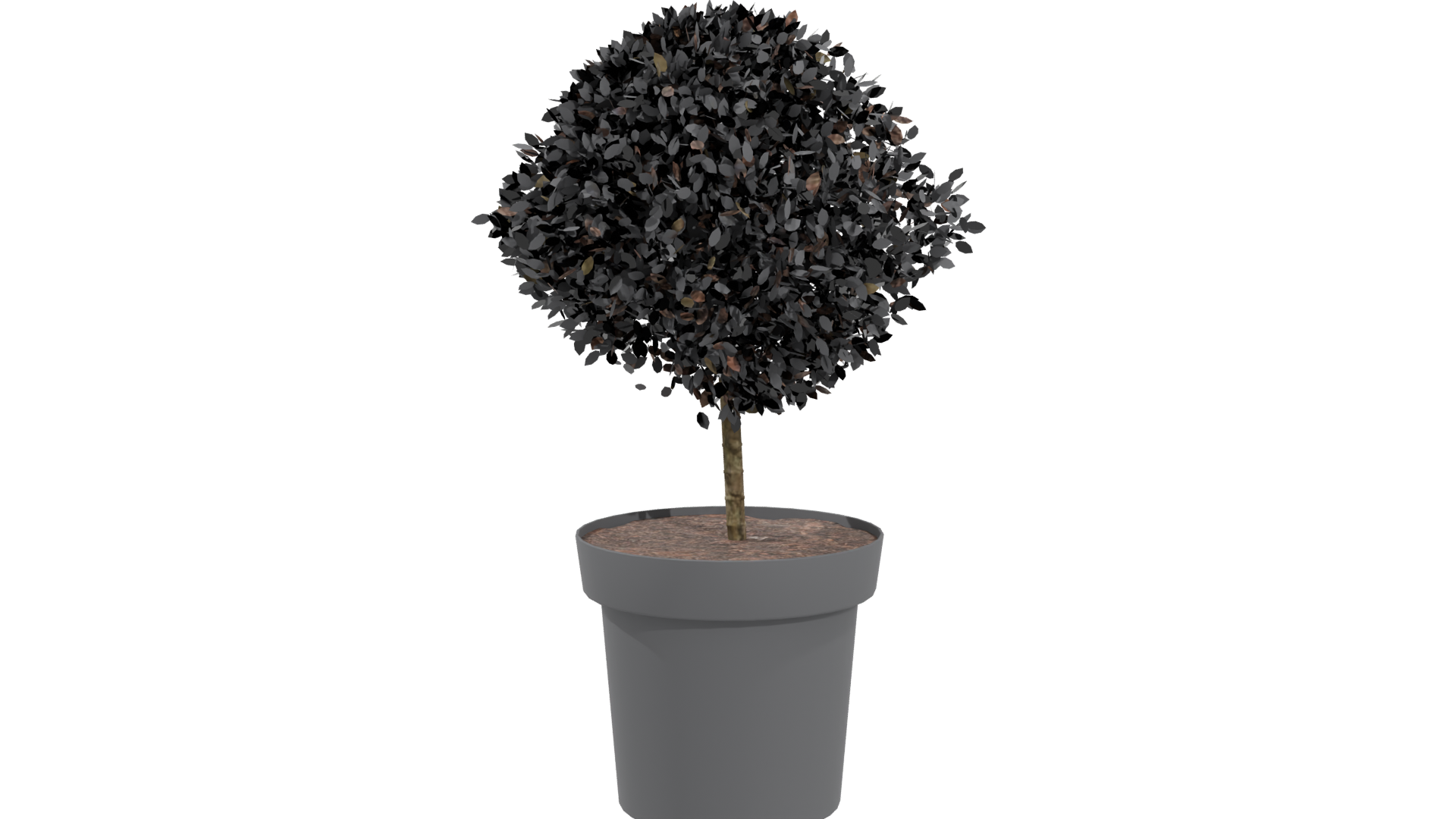 Stylized Potted Topiary Plant - Professional 3D Model Render 4
