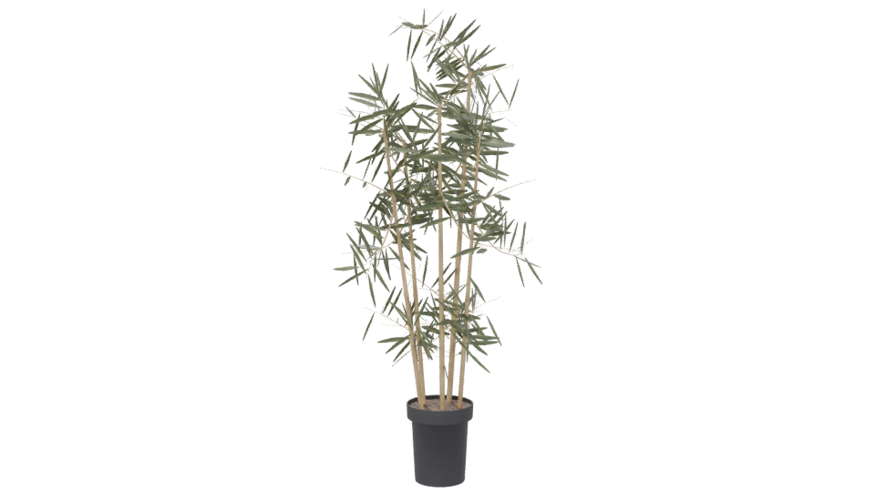 Artificial Bamboo Plant 3D Model - Professional 3D Model Render 6