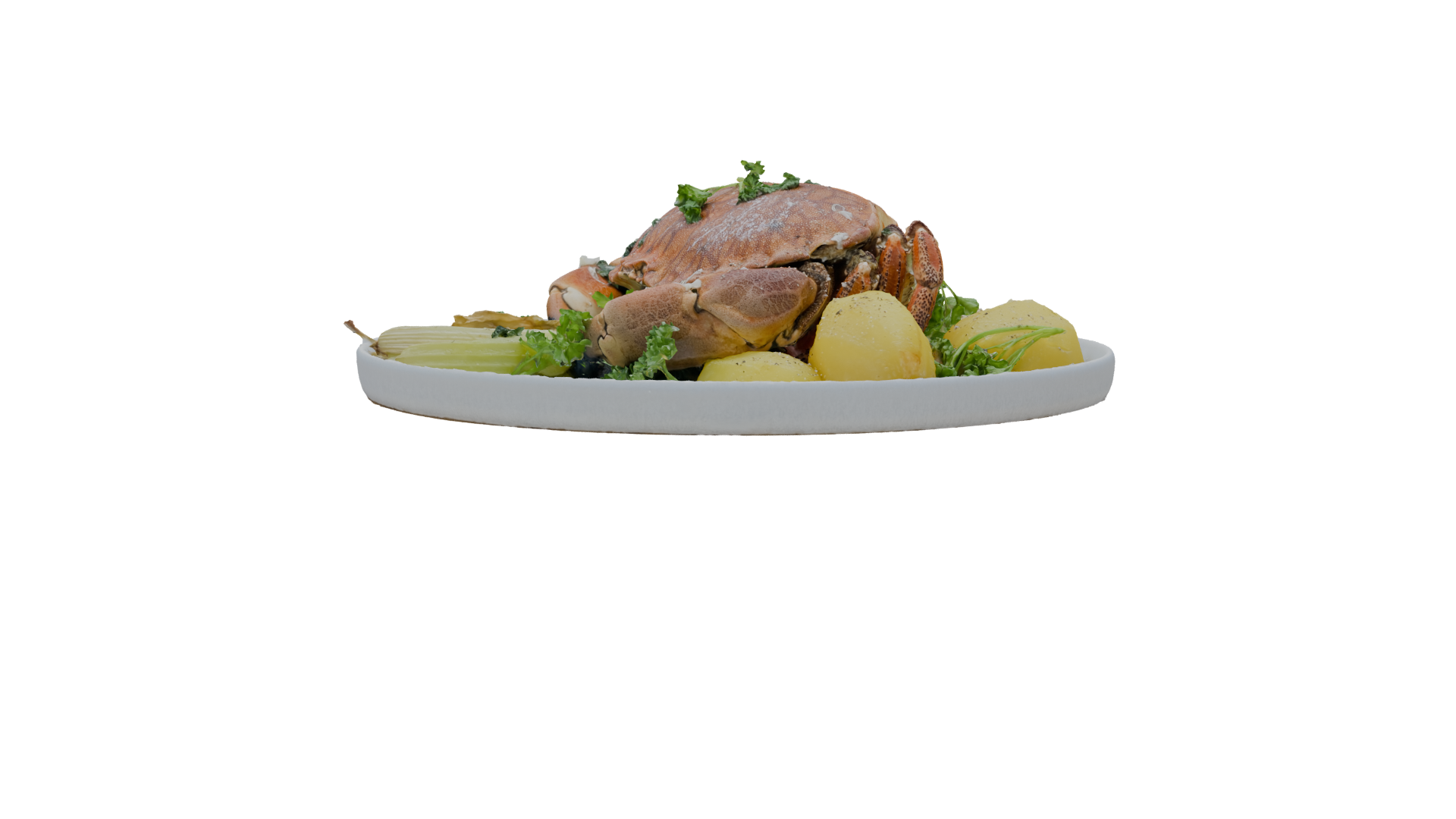 Realistic Crab Dish 3D Model - Professional 3D Model Render 17