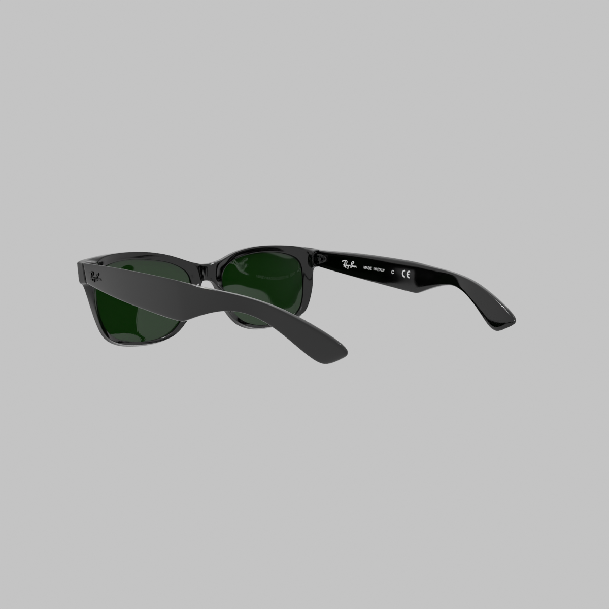 Wayfarer Negro