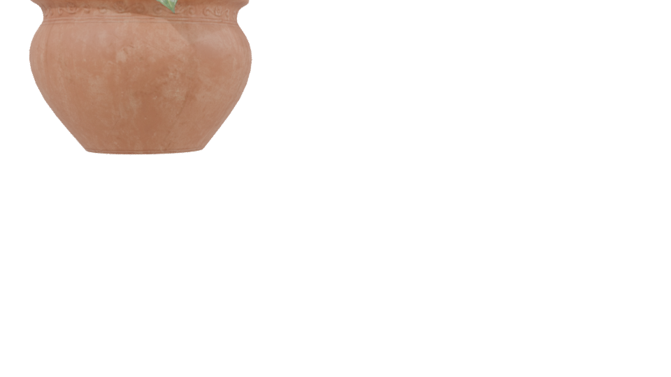 Decorative Potted Plant 3D Model - Professional 3D Model Render 2