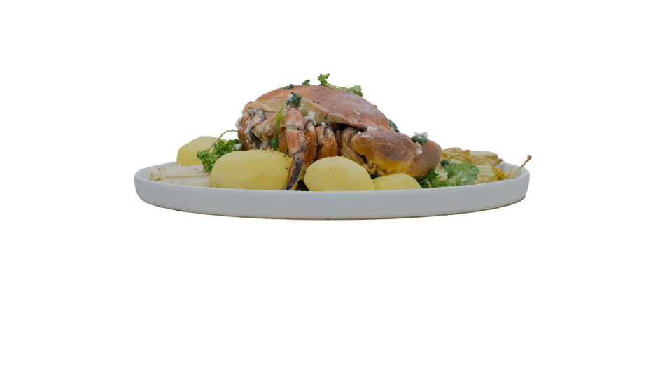 Realistic Crab Dish 3D Model - Professional 3D Model Render 11