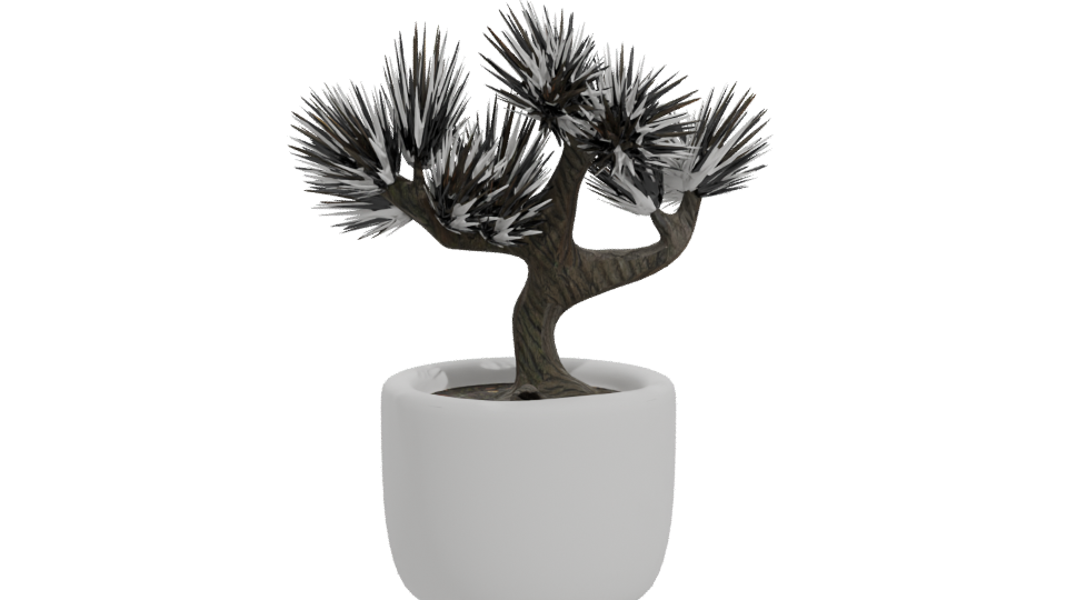 Stylized Bonsai Tree Model 3D - Professional 3D Model Render 11