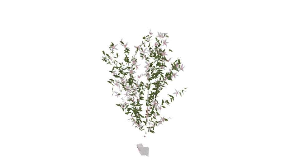 Realistic Flowering Plant 3D Model - Professional 3D Model Render 9