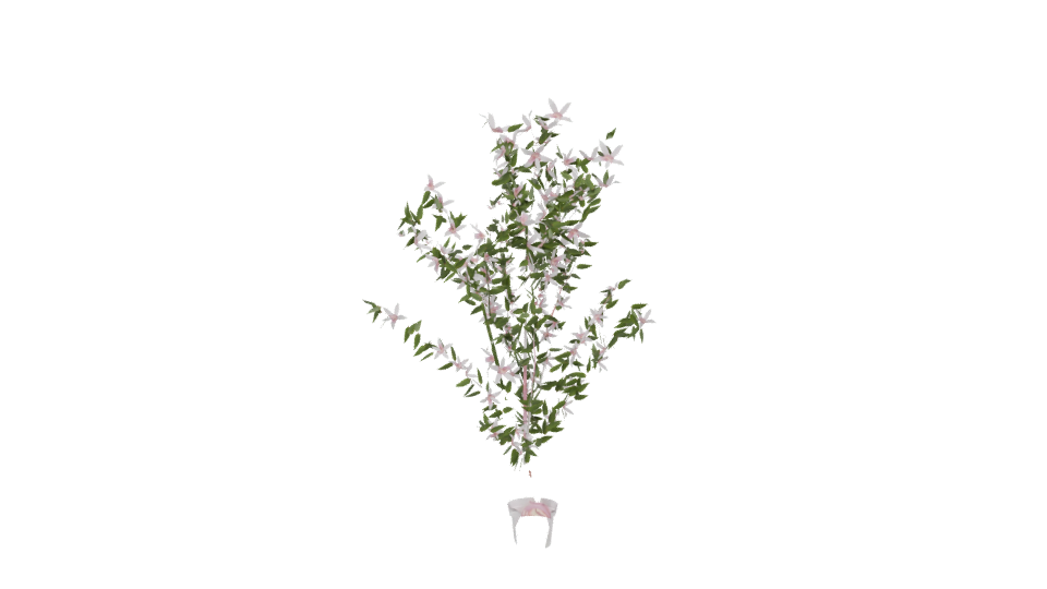 Realistic Flowering Plant 3D Model - Professional 3D Model Render 13
