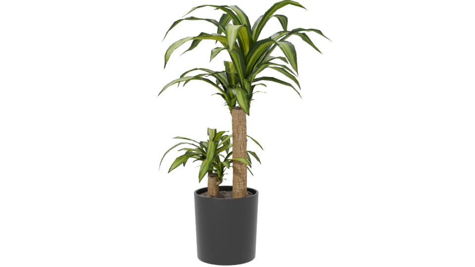 Stylish Indoor Plant Model 3D - Professional 3D Model Render 6
