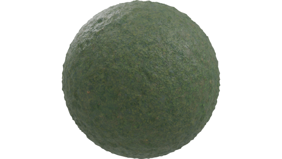 Realistic Green Grass Terrain 3D Model - Professional 3D Model Render 10