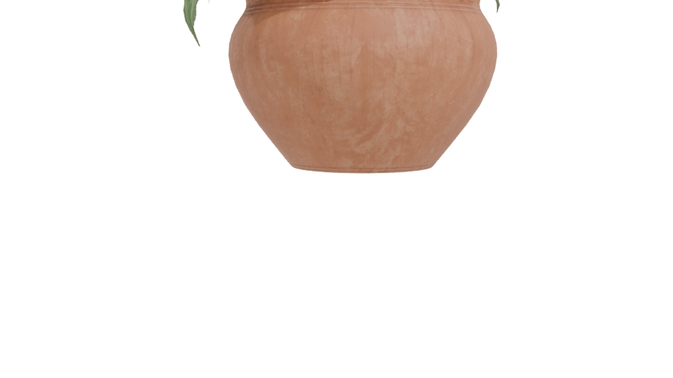 Decorative Potted Plant 3D Model - Professional 3D Model Render 11