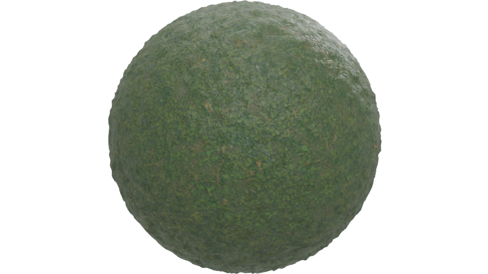 Realistic Green Grass Terrain 3D Model - Professional 3D Model Render 12