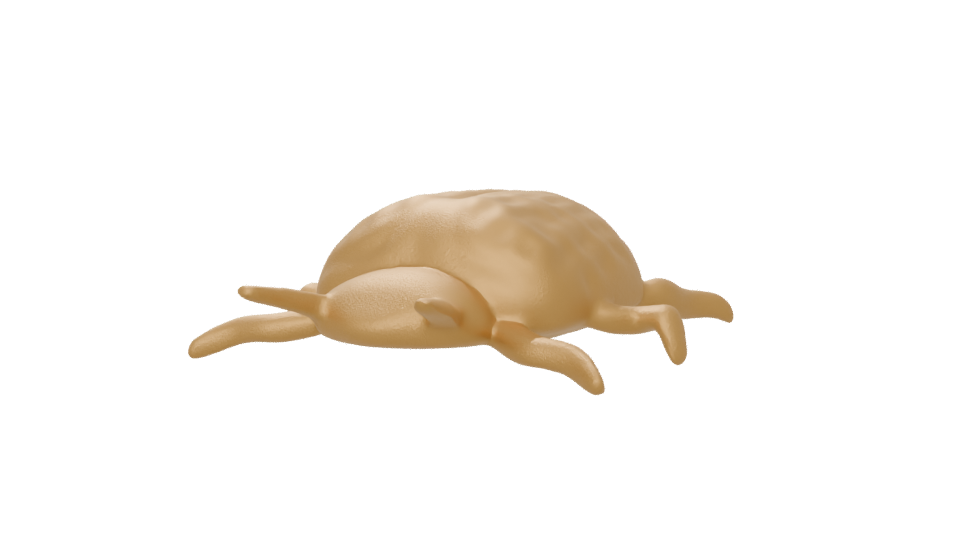 Stylized Golden Turtle 3D Model - Professional 3D Model Render 6