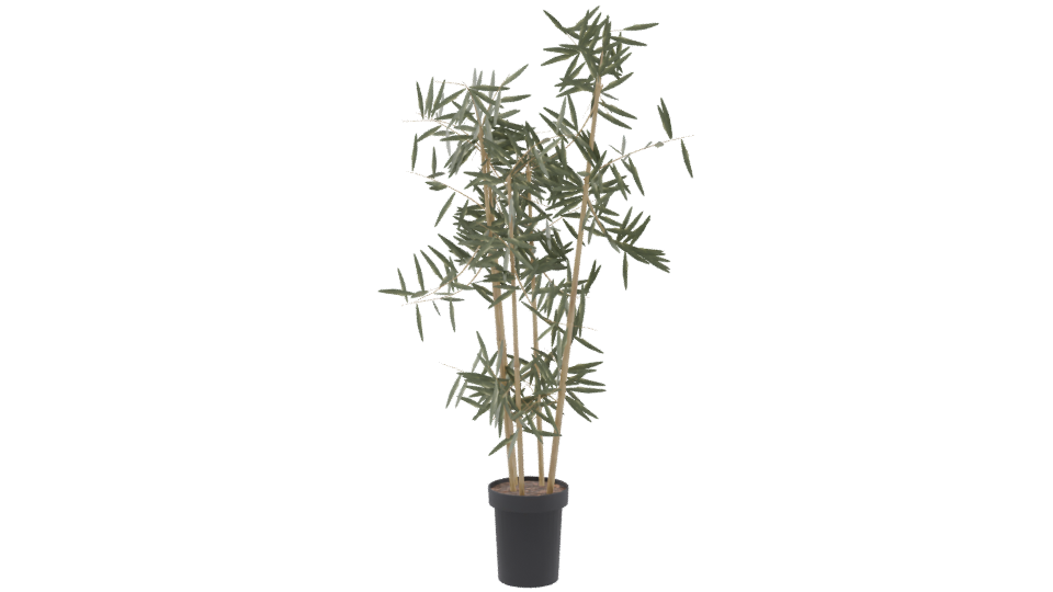 Artificial Bamboo Plant 3D Model - Professional 3D Model Render 9