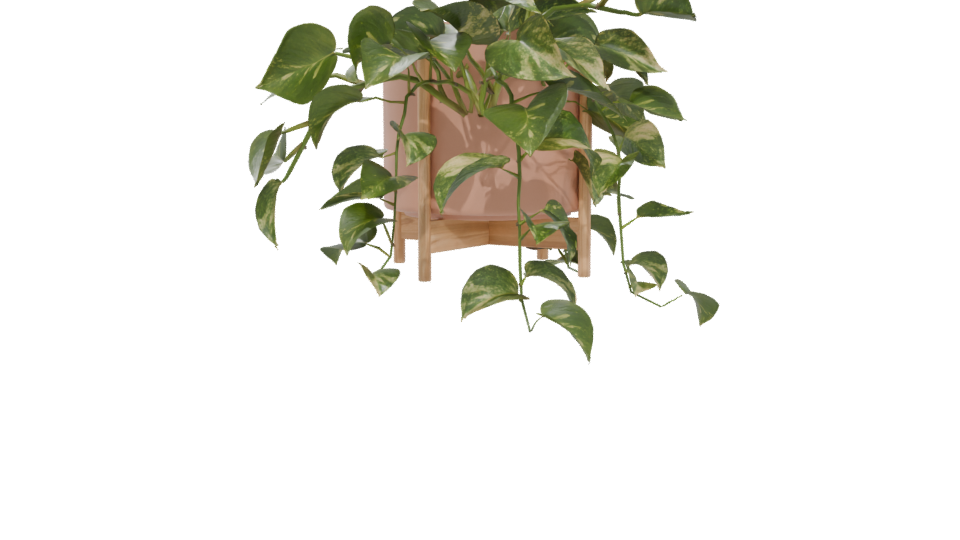 Pothos Plant in Pot 3D Model - Professional 3D Model Render 5