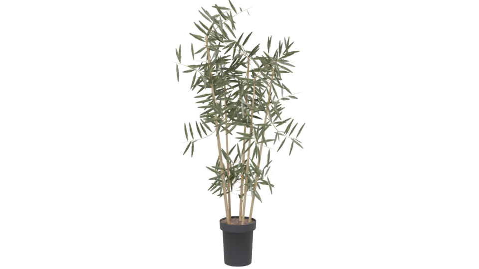 Artificial Bamboo Plant 3D Model - Professional 3D Model Render 13