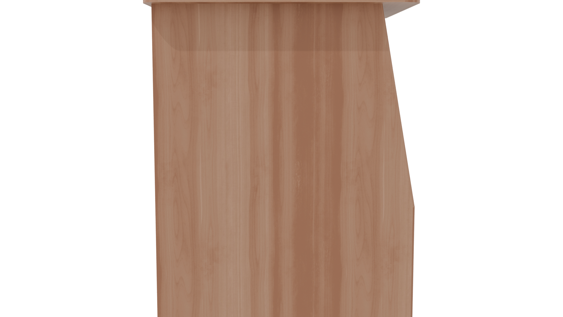 Contemporary Wooden Display Cabinet - Professional 3D Model Render 8