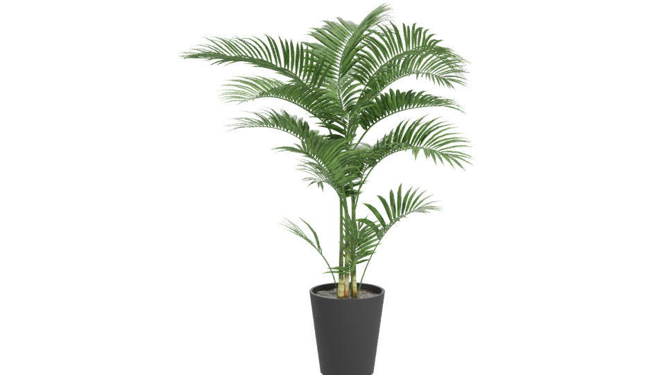 Lifelike Indoor Plant Model - Professional 3D Model Render 11